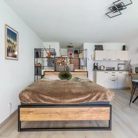 Schwarzwaldstube Apartamento *