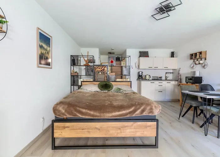 Schwarzwaldstube Lägenhet *